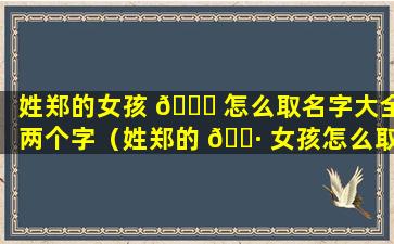 姓郑的女孩 🕊 怎么取名字大全两个字（姓郑的 🌷 女孩怎么取名字大全两个字好听）